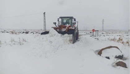 Kar Urfa’yı esir aldı