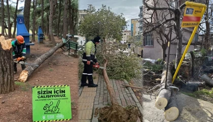 Lodos Bursa’yı vurdu! Büyükşehir sahada