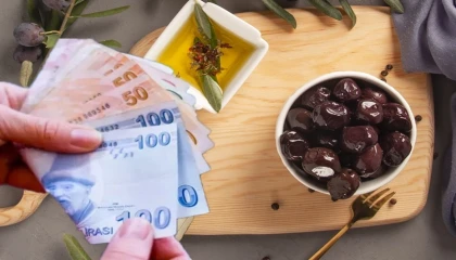 Marmarabirlik zeytin üreticisine 860 milyon TL ödeyecek