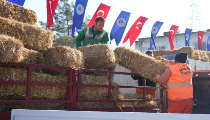Milas’ta üreticilere yem ve saman desteğine devam