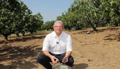 Mudanya Belediyesi’nden taşınmaz açıklaması: Satışa çıkan alanlar köy arazisi değil