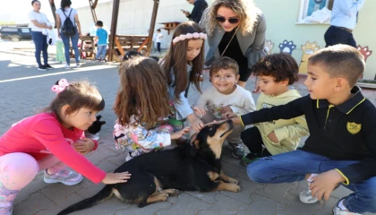 Muğla Büyükşehir 4 bin 34 cana yuva oldu