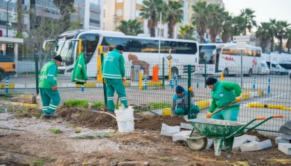 Muğla Milas yeşile bürünüyor