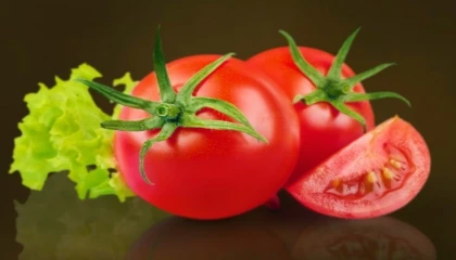 Muğla Milas’ta talep edene ücretsiz yerel tohum