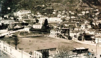 Ordu’da Millet Düzü yeniden hayat buluyor