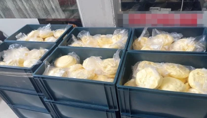 Ordu’da zabıta ekiplerinden şok gıda denetimi! Yarım ton yağa el konuldu