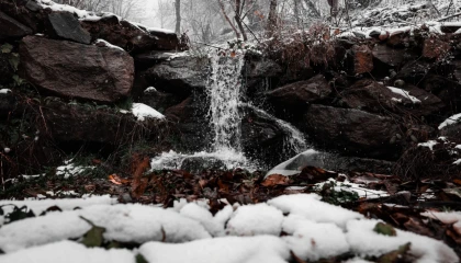 Sakarya’da kar yağışı su kaynaklarını besledi