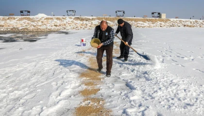 Van’da kuşlar için doğaya yem bırakıldı