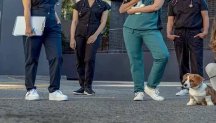 Veteriner Hekim-Sen’den hukuki zafer... Koruyucu giyim yardımı davası kazanıldı