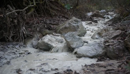 Yenişehir Kirazlıyayla’da binlerce ton kimyasal doğaya karıştı!