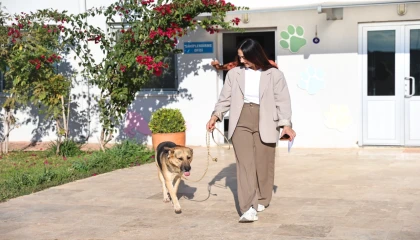 Antalya’da “Satın alma, sahiplen” çağrısı