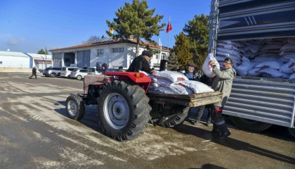 Başkentli üreticiye 1,5 milyon kilogram nohut tohumu desteği