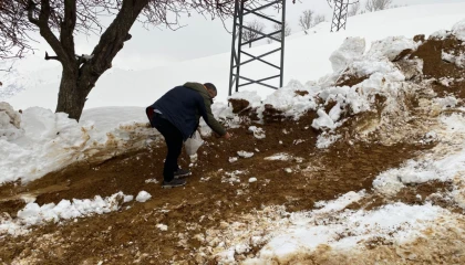 Batman Sason’da yabani hayvanlar için yemleme çalışması
