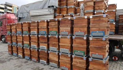 Bursa Büyükşehir’den arıcılara kovan desteği