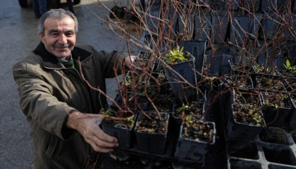Bursa Büyükşehir’den kırsala fide ve fidan desteği sürüyor