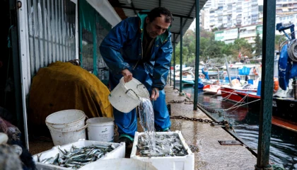 Bursa’da yüzde 100 hibeli mazot desteğine yoğun ilgi
