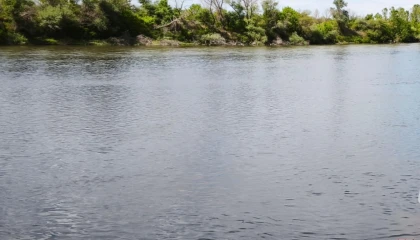 DSİ’den Edirne için turuncu alarm! Nehir yataklarını derhal boşaltın