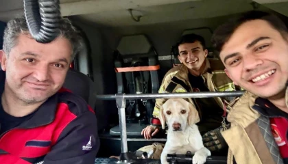 İzmir İtfaiyesi tüm canlıların imdadına yetişiyor