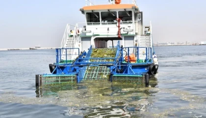 İzmir körfezinde kirlilik alarmı! İzmir Büyükşehir seyirci mi kalıyor?