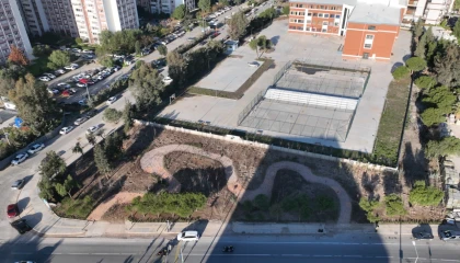 İzmir’de betonun arasından orman çıktı