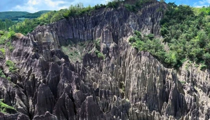 Korunan alan sayısı 692’ye yükseldi