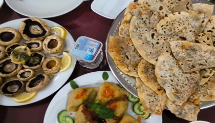 Mardin Kızıltepe’de kadın aşçılardan vegan şov