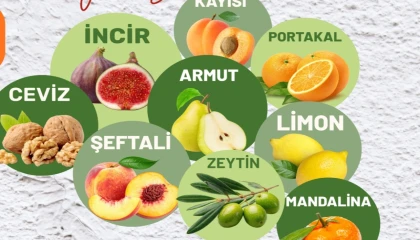 Muğla Milas’ta üreticilere fidan desteği sağlanacak