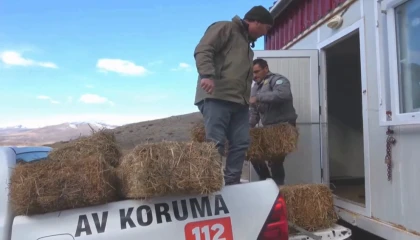 Niğde Demirkazık’ta yaban hayatına kış desteği