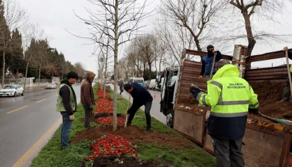 Sakarya’da ‘Yeşil Şehir’ vizyonu sahada