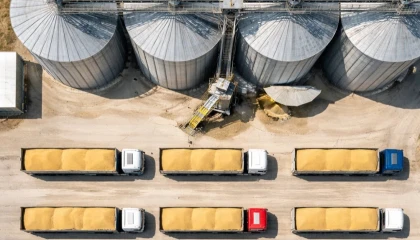 TMO’dan buğday satışı... 1,2 milyon ton stok günlük açık artırmada