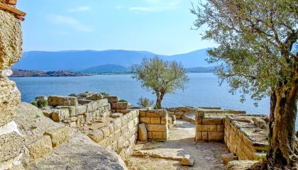 Türkiye sulak alanlar için kritik eşikte