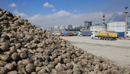 Üretici ortaklara pancar bedelleri ödeniyor