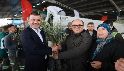 Üreticiye 84 bin sertifikalı zeytin fidanı