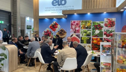 Yaş meyve sebze sektöründen Almanya’ya çıkarma