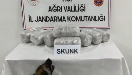 Ağrı’da 10 kilogram skunk ele geçirildi