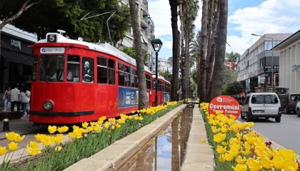 Antalya lalelerle görsel şölene dönüştü