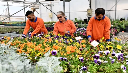 Antalya Muratpaşa’dan sürdürülebilir üretim modeli