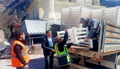 Antalya’da ipekböcekçiliği yeniden canlanıyor