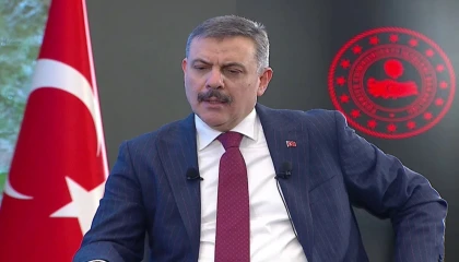 Bakan Çiftçi: İki tip plaka da geçerli