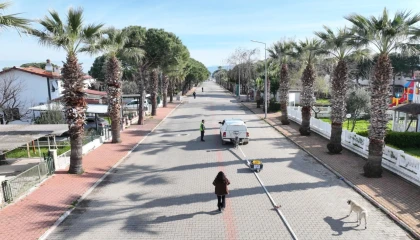 Balıkesir’de BALDEP çalışmaları devam ediyor