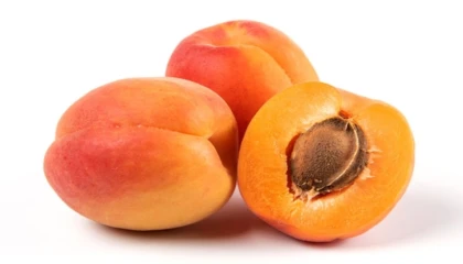 Bitkisel ürünlerde en yüksek yeterlilik kayısı ve zerdalide