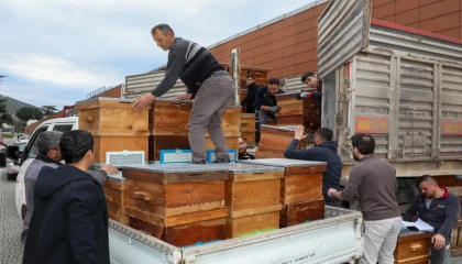 Bursa’da arıcılık Büyükşehir’le canlandı