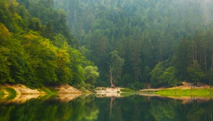 Doğa Koruma ve Milli Parklar’da yeni dönem... Yetkiler artırıldı, cezalar yükseltildi