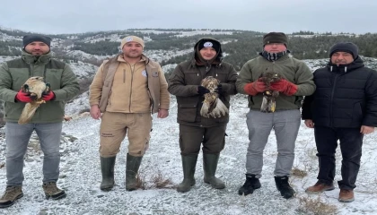 Eskişehir’de tedavi edilen yırtıcı kuşlar doğaya salındı