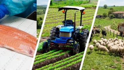 IPARD III’te yeni takvim açıklandı... Kırsala 241 milyon avroluk dev hibe