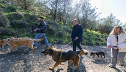 İzmir Büyükşehir’den sahipsiz hayvanlar için çağrı