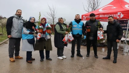 İzmit Belediyesi mezarlıklar için binlerce fide dağıttı