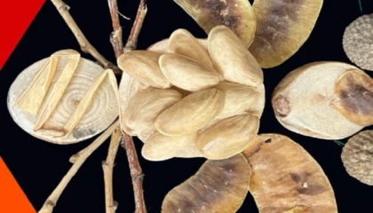 İzmit Oyuncak Müzesi’nde yaratıcı atölyeler sürüyor