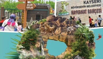 Kayseri’de hayvanat bahçesi ücretsiz