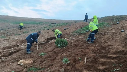 Kocaeli Gebze’de Büyükşehir’le yeşile dokunuş